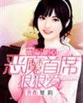 致命甜心:惡魔首席狠狠愛小說