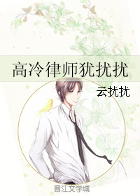 高冷女律師的小說