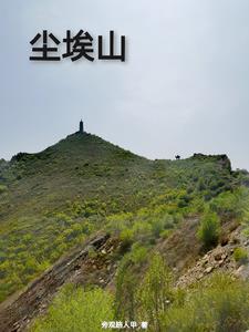 塵埃山神原著小說叫什麼