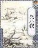 嶽小釵小說完整版