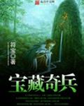 寶藏奇兵遊戲