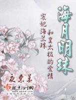 海月明珠小說推薦